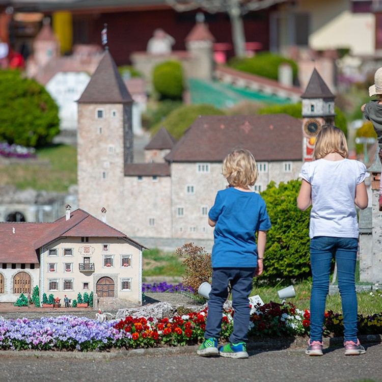 Swissminiatur 300319 3510